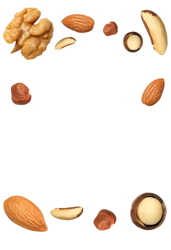 nutsfactory