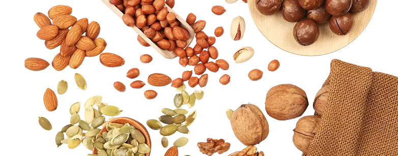 nutsfactory